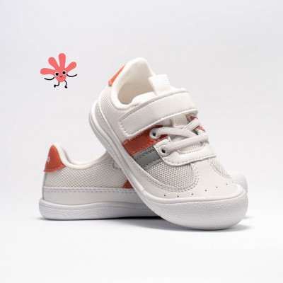 Gekko superge Coral